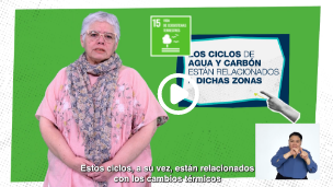 Video de Imágenes satelitales, operativos de campo; datos administrativos para la medición de extensiones de zonas forestales y la cobertura verde montañosa.