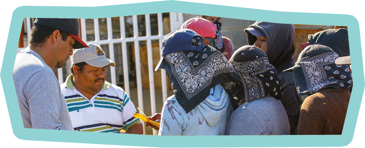 San Quintin, Baja California, Mexico, March 26 - Dozens of daily farmers wait in line for the payment of the working day on a strawberry production farm in the San Quintin area, north of the Baja California peninsula in northwestern Mexico.