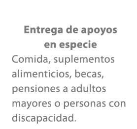 Entrega de apoyos en especie Comida, suplementos alimenticios, becas, pensiones a adultos mayores o personas con disc...
