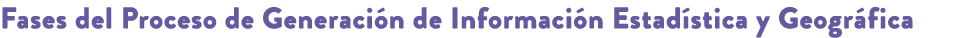 Fases del Proceso de Generaci n de Informaci n Estad stica y Geogr fica