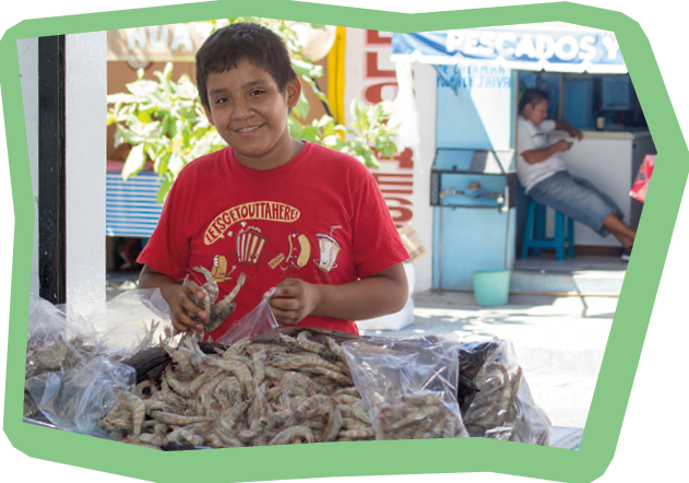 Huatulco, Mexico - February 27, 2015: Mexican teenager boy is packing shrimps in a fish market. It's common in Mexico to find boys and girls, even children, helping their parents on their jobs to earn money. Note the shirt with english words. He doesn't know what it says but he thinks the graphics are nice. Across the street, a fish merchant reads the newspaper. 