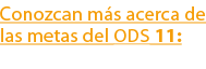 Conozcan m s acerca de las metas del ODS 11: