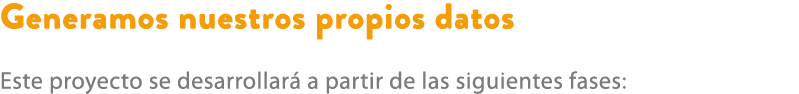 Generamos nuestros propios datos Este proyecto se desarrollar a partir de las siguientes fases: 
