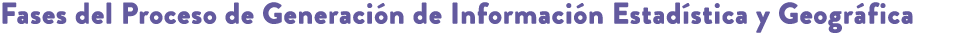 Fases del Proceso de Generaci n de Informaci n Estad stica y Geogr fica
