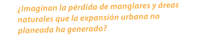 ¿Imaginan la p rdida de manglares y reas naturales que la expansi n urbana no planeada ha generado? 