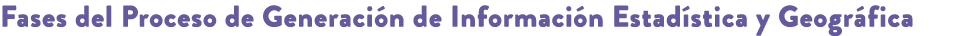 Fases del Proceso de Generaci n de Informaci n Estad stica y Geogr fica