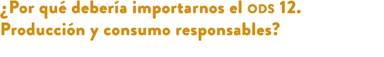 ¿Por qu deber a importarnos el ods 12. Producci n y consumo responsables? 