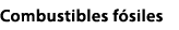 Combustibles f siles