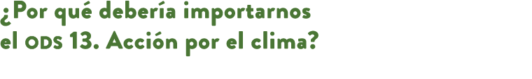 ¿Por qu deber a importarnos el ods 13. Acci n por el clima? 