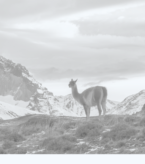Mountain landscape environment, Torres del Paine National Park, Patagonia, Chile.