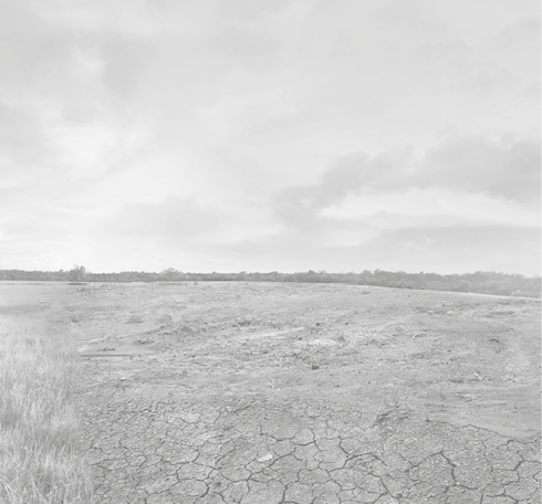 Landscape of meadow field with the changing environment concept of climate change
