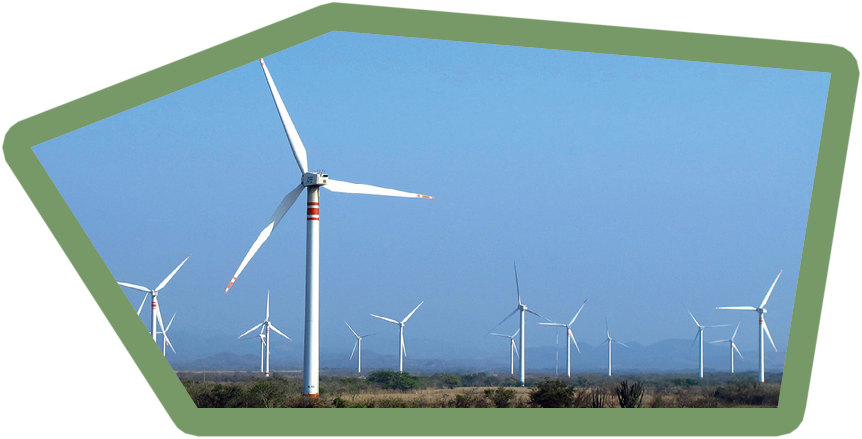 Windmills on the field, Mexico