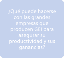 ¿Qu puede hacerse con las grandes empresas que producen GEI para asegurar su productividad y sus ganancias? 