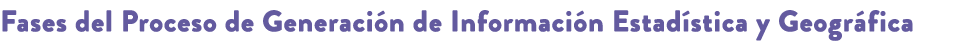 Fases del Proceso de Generaci n de Informaci n Estad stica y Geogr fica