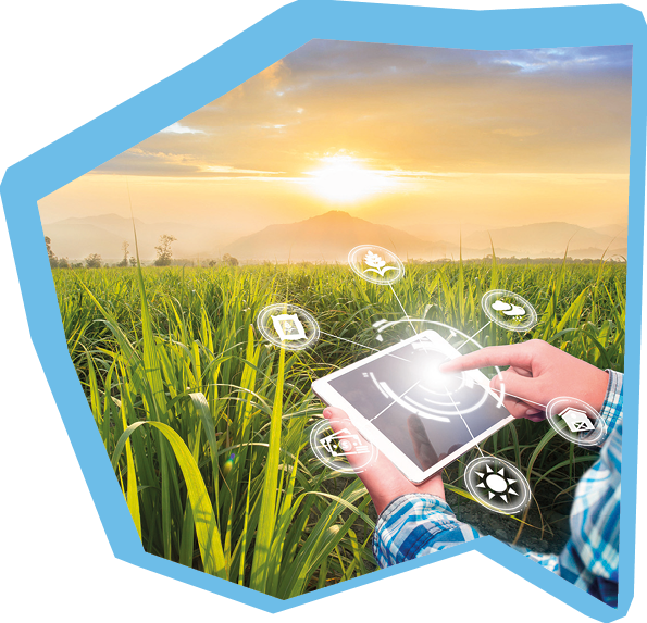 Innovation technology for smart farm system, Agriculture management, Hand holding smartphone with smart technology concept. asian male farmer working in Sugarcane farm To collect data to study.