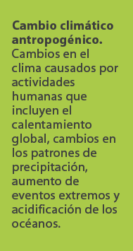 Cambio clim tico antropog nico. Cambios en el clima causados por actividades humanas que incluyen el calentamiento gl...