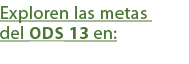 Exploren las metas del ODS 13 en: