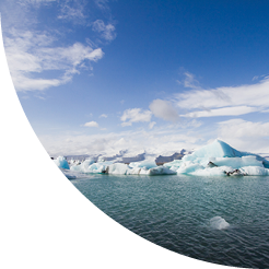 Icebergs float in the clear blue Icelandic sea.