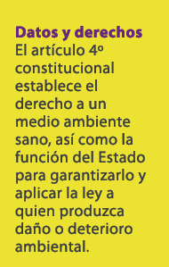 Datos y derechos El art culo 4º constitucional establece el derecho a un medio ambiente sano, as como la funci n del...