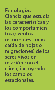 Fenolog a. Ciencia que estudia las caracter sticas y los comportamientos (eventos recurrentes como ca da de hojas o m...