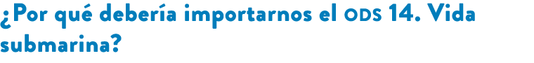 ¿Por qu deber a importarnos el ods 14. Vida submarina? 