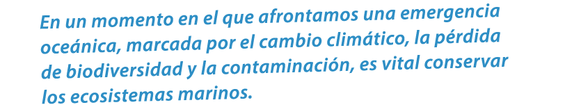 En un momento en el que afrontamos una emergencia oce nica, marcada por el cambio clim tico, la p rdida de biodiversi...