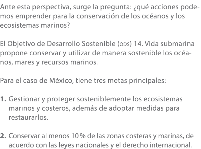 Ante esta perspectiva, surge la pregunta: ¿qu acciones podemos emprender para la conservaci n de los oc anos y los e...
