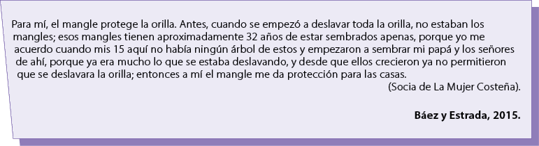 Para m , el mangle protege la orilla. Antes, cuando se empez a deslavar toda la orilla, no estaban los mangles; esos...