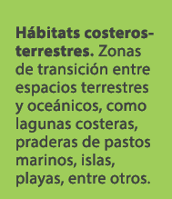 H bitats costeros terrestres. Zonas de transici n entre espacios terrestres y oce nicos, como lagunas costeras, prade...