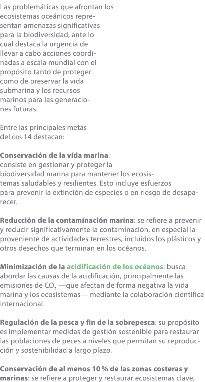 Las problem ticas que afrontan los ecosistemas oce nicos representan amenazas significativas para la biodiversidad, a...
