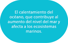 El calentamiento del oc ano, que contribuye al aumento del nivel del mar y afecta a los ecosistemas marinos.