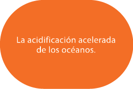 La acidificaci n acelerada de los oc anos. 