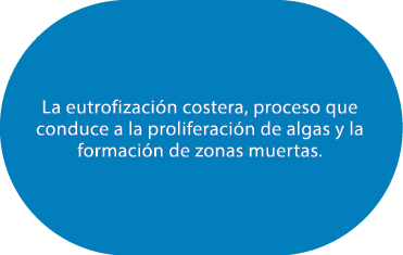 La eutrofizaci n costera, proceso que conduce a la proliferaci n de algas y la formaci n de zonas muertas.