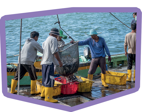 Kota Kinabalu, Malaysia - february 25, 2020 : Malaysian fishermen load freshly caught fish from a ship into plastic containers on the street philippine market in Kota Kinabalu, Sabah, Malaysia