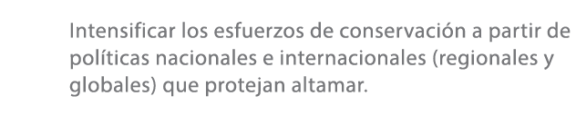 Intensificar los esfuerzos de conservaci n a partir de pol ticas nacionales e internacionales (regionales y globales)...