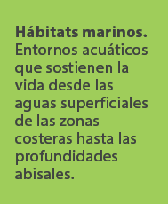 H bitats marinos. Entornos acu ticos que sostienen la vida desde las aguas superficiales de las zonas costeras hasta ...