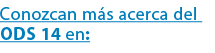 Conozcan m s acerca del ODS 14 en: