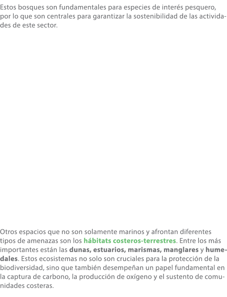 Estos bosques son fundamentales para especies de inter s pesquero, por lo que son centrales para garantizar la sosten...