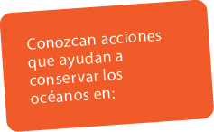 Conozcan acciones que ayudan a conservar los oc anos en: