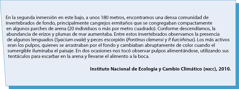 En la segunda inmersi n en este bajo, a unos 180 metros, encontramos una densa comunidad de invertebrados de fondo, p...
