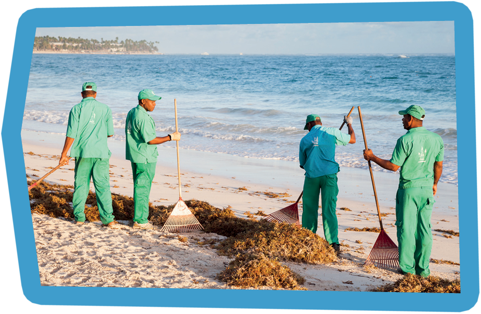 Punta Cana, Dominican republic - January 10, 2015: Hotel workers in green uniform engaged in cleaning the beach