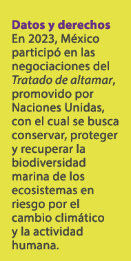 Datos y derechos En 2023, M xico particip en las negociaciones del Tratado de altamar, promovido por Naciones Unidas...