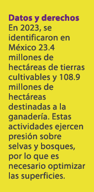 Datos y derechos En 2023, se identificaron en M xico 23.4 millones de hect reas de tierras cultivables y 108.9 millon...