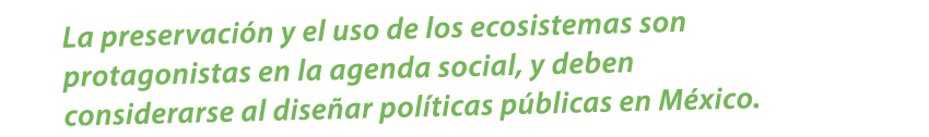 La preservaci n y el uso de los ecosistemas son protagonistas en la agenda social, y deben considerarse al dise ar po...