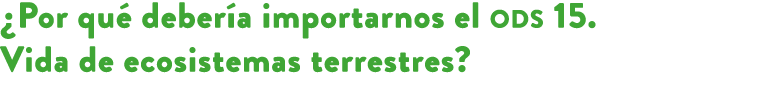 ¿Por qu deber a importarnos el ods 15. Vida de ecosistemas terrestres? 