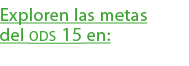 Exploren las metas del ods 15 en: