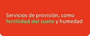 Servicios de provisi n, como fertilidad del suelo y humedad
