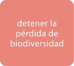 detener la p rdida de biodiversidad