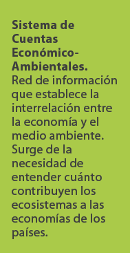 Sistema de Cuentas Econ mico Ambientales. Red de informaci n que establece la interrelaci n entre la econom a y el me...