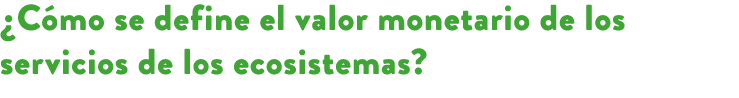 ¿C mo se define el valor monetario de los servicios de los ecosistemas?